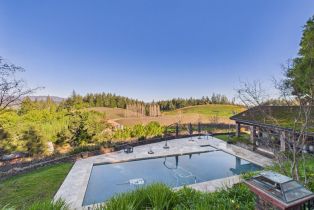 Single Family Residence,  Dry Creek road, Healdsburg, CA 95448 - 11