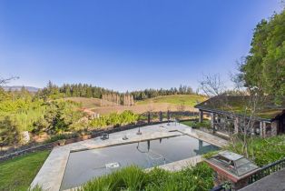 Single Family Residence,  Dry Creek road, Healdsburg, CA 95448 - 10