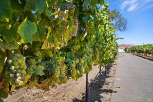 Single Family Residence,  Old Sonoma road, Napa, CA 94559 - 16