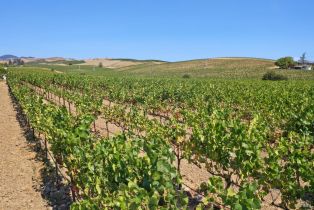 Single Family Residence,  Old Sonoma road, Napa, CA 94559 - 3