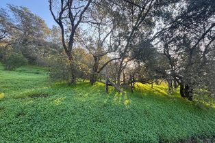 Land, 17278 Hillcrest Ave, Sonoma, CA  Sonoma, CA 95476
