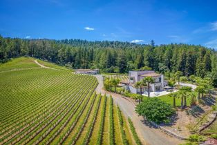 Single Family Residence,  St. Helena highway, Calistoga, CA 94515 - 44