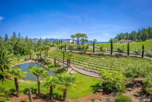 Single Family Residence,  St. Helena highway, Calistoga, CA 94515 - 38