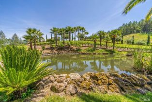 Single Family Residence,  St. Helena highway, Calistoga, CA 94515 - 39