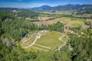 Single Family Residence,  St. Helena highway, Calistoga, CA 94515 - 50