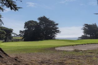 Single Family Residence,  Hatchway none, Sea Ranch, CA 95497 - 41