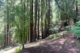 Single Family Residence, Neeley road, Russian River, CA 95446 - 6