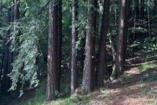 Single Family Residence, Neeley road, Russian River, CA 95446 - 15