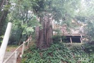 Single Family Residence, 18349 Neeley Rd, Russian River, CA  Russian River, CA 95446