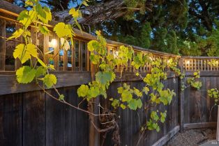 Single Family Residence,  Avenue Del Oro none, Sonoma, CA 95476 - 55