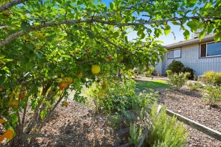 Single Family Residence,  Grange road, Santa Rosa, CA 95404 - 44