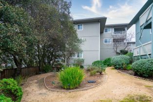 Condominium,  Cherry street, Petaluma, CA 94952 - 27