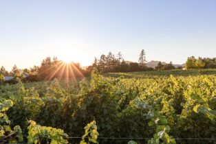 Single Family Residence, Anderson lane, Angwin, CA 94508 - 8