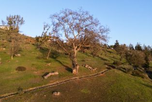 Residential Lot,  Crown Hill drive, Santa Rosa, CA 95404 - 7