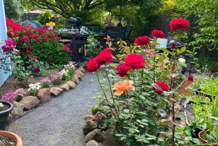 Single Family Residence, Parktrail court, Santa Rosa, CA 95405 - 67