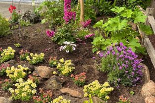 Single Family Residence, Parktrail court, Santa Rosa, CA 95405 - 6