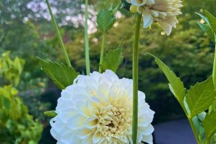 Single Family Residence, Parktrail court, Santa Rosa, CA 95405 - 74