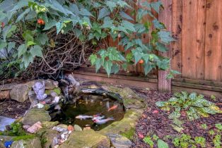 Single Family Residence,  Grant way, Santa Rosa, CA 95409 - 22