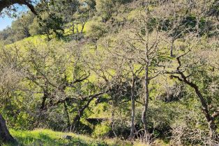 Residential Acreage,  Leslie road, Healdsburg, CA 95448 - 13