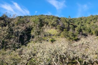 Residential Acreage,  Leslie road, Healdsburg, CA 95448 - 14