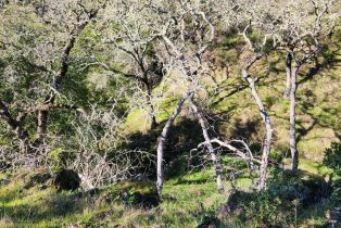 Residential Acreage,  Leslie road, Healdsburg, CA 95448 - 12