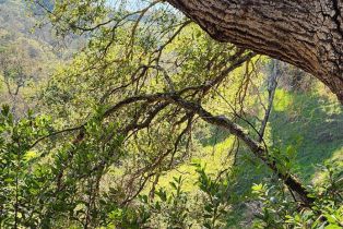 Residential Acreage,  Leslie road, Healdsburg, CA 95448 - 18