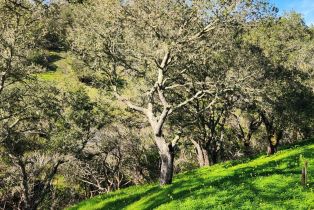 Residential Acreage,  Leslie road, Healdsburg, CA 95448 - 6