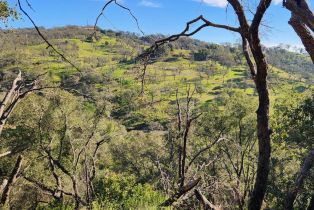 Residential Acreage,  Leslie road, Healdsburg, CA 95448 - 17
