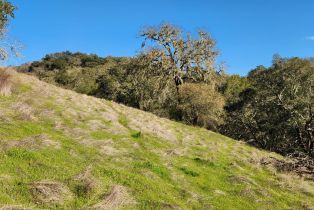 Residential Acreage,  Leslie road, Healdsburg, CA 95448 - 19