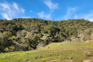 Residential Acreage,  Leslie road, Healdsburg, CA 95448 - 8