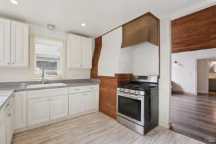 Single Family Residence, Old Cazadero road, Russian River, CA 95446 - 5