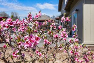 Single Family Residence,  Greenvale lane, Santa Rosa, CA 95401 - 58