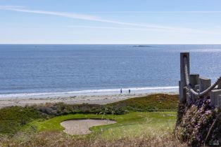 Single Family Residence, Condor court, Bodega Bay, CA 94923 - 56