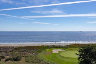 Single Family Residence, Condor court, Bodega Bay, CA 94923 - 70