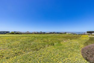 Single Family Residence, Condor court, Bodega Bay, CA 94923 - 43