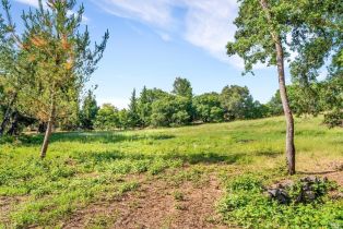 Residential Lot,  Lytton Springs road, Healdsburg, CA 95448 - 6