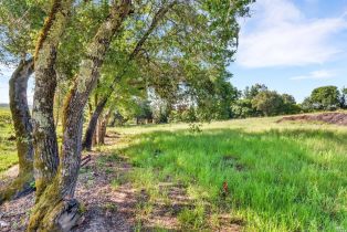 Residential Lot,  Lytton Springs road, Healdsburg, CA 95448 - 2