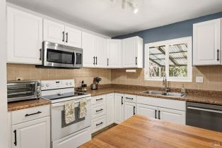 Single Family Residence,  Grace court, Cloverdale, CA 95425 - 23