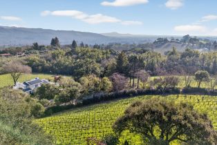 Single Family Residence,  Sobre Vista road, Sonoma, CA 95476 - 38