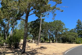 Residential Lot,  Bennett Ridge road, Santa Rosa, CA 95404 - 8