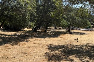 Residential Lot,  Bennett Ridge road, Santa Rosa, CA 95404 - 5