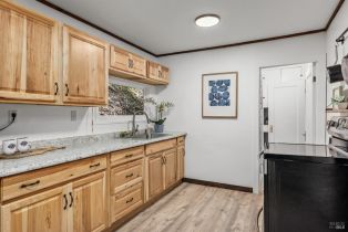 Single Family Residence,  Canyon 3 road, Russian River, CA 95446 - 13