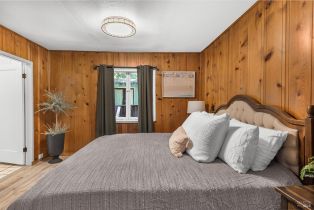 Single Family Residence,  Canyon 3 road, Russian River, CA 95446 - 10