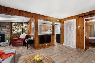 Single Family Residence,  Canyon 3 road, Russian River, CA 95446 - 4