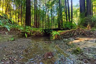 Single Family Residence, Bittner road, Occidental, CA 95465 - 9