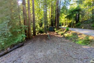 Single Family Residence, Bittner road, Occidental, CA 95465 - 4