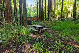 Single Family Residence, Bittner road, Occidental, CA 95465 - 13