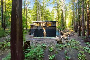 Single Family Residence, Bittner road, Occidental, CA 95465 - 11