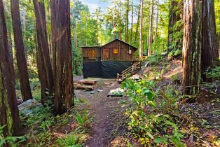 Single Family Residence, 16125 Bittner Rd, Occidental, CA  Occidental, CA 95465