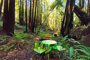 Single Family Residence, Bittner road, Occidental, CA 95465 - 8